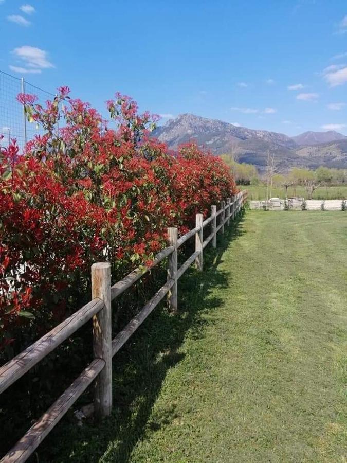 L'Airone Country House SantʼElia Fiumerapido Exterior foto