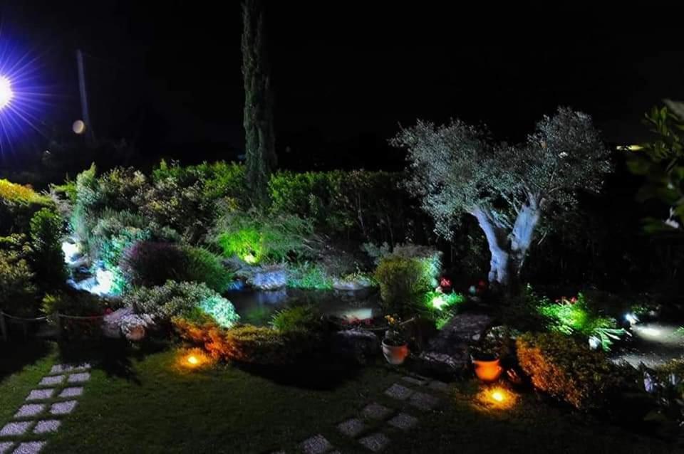 L'Airone Country House SantʼElia Fiumerapido Exterior foto