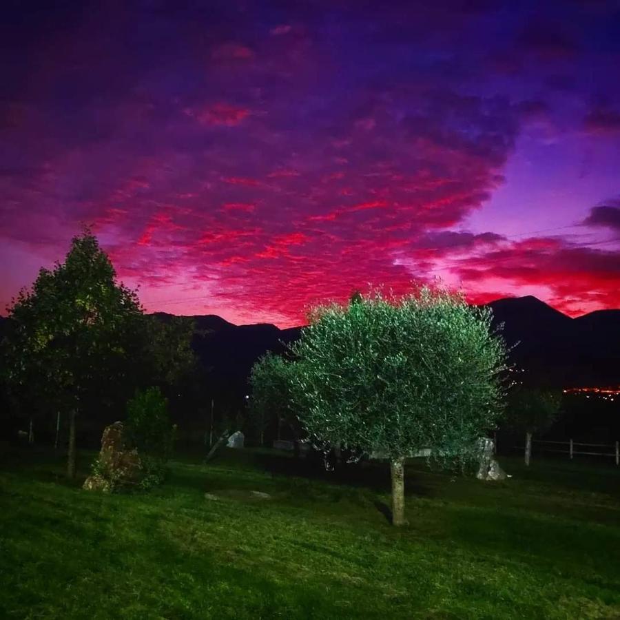 L'Airone Country House SantʼElia Fiumerapido Exterior foto